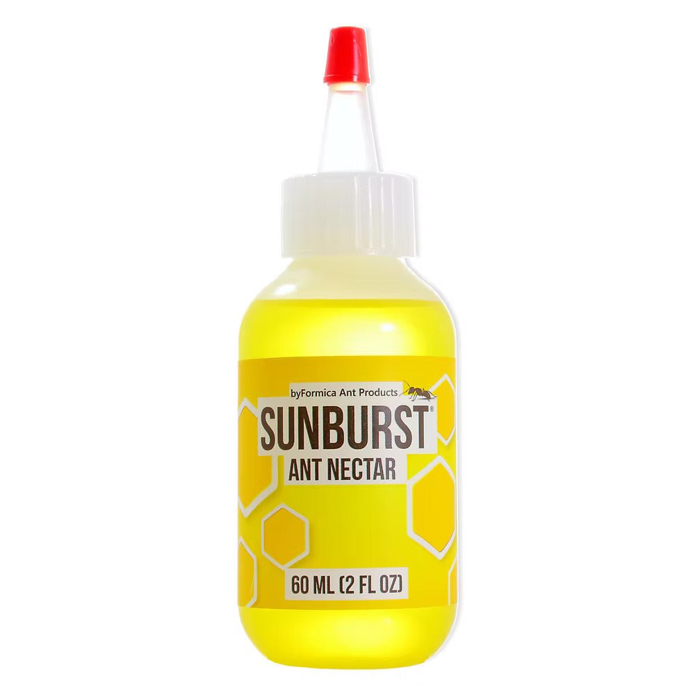 SUNBURST ANT NECTAR