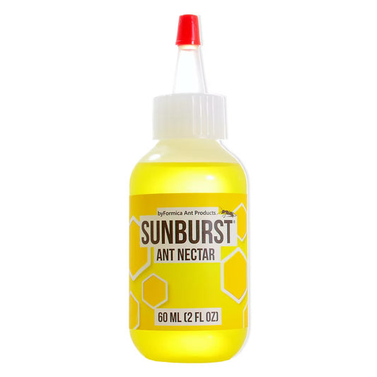 SUNBURST ANT NECTAR