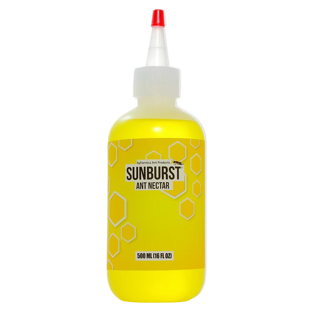 SUNBURST ANT NECTAR