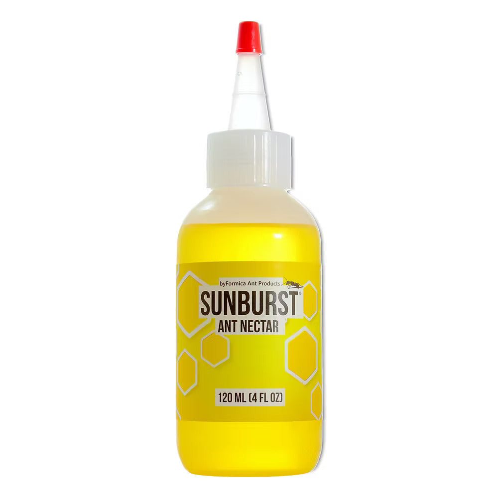 SUNBURST ANT NECTAR
