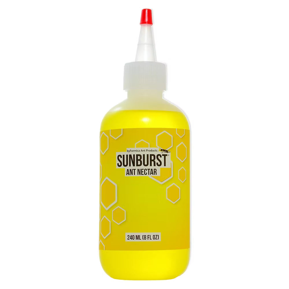 SUNBURST ANT NECTAR